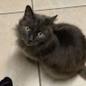 Meet your Posher, Leslie